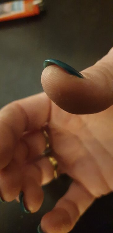 20241208_200258.jpg