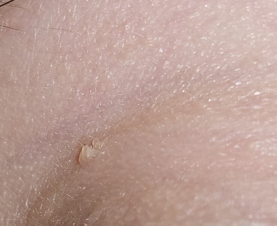 20241208_212340.jpg
