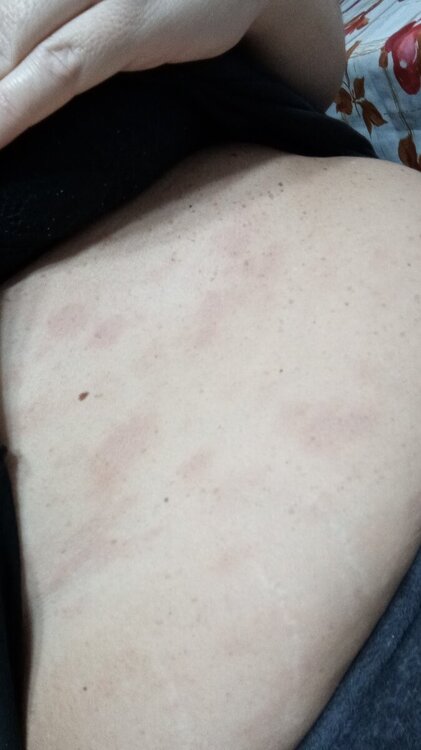 IMG-20241207-WA0044.jpeg