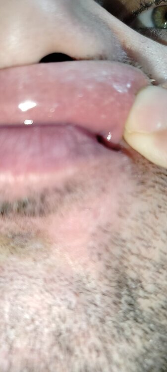 IMG20241202194634.thumb.jpg.997bf6109a22a59dc58ba02a124a8f98.jpg