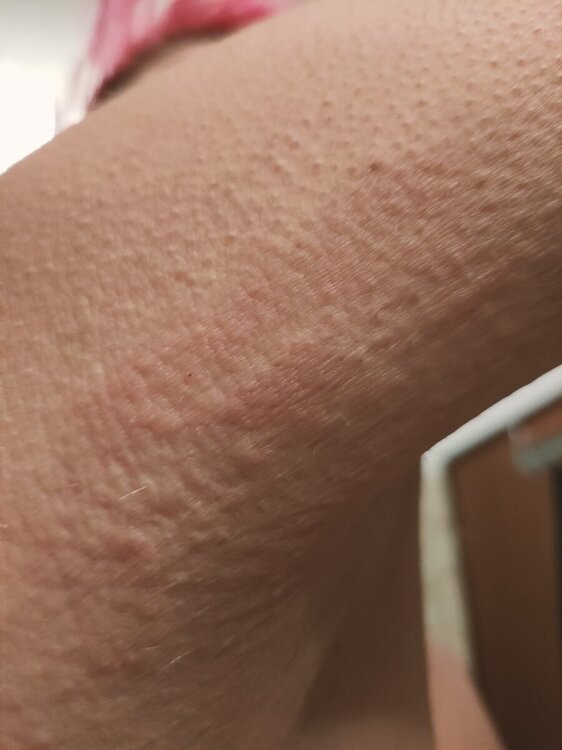 IMG20241205201304.jpg