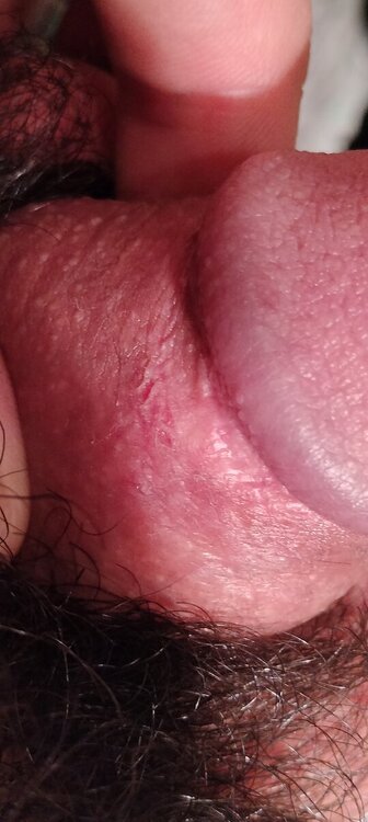 IMG20241208003342.thumb.jpg.afb20e9d1bffe95e2c6fa768da2a6006.jpg
