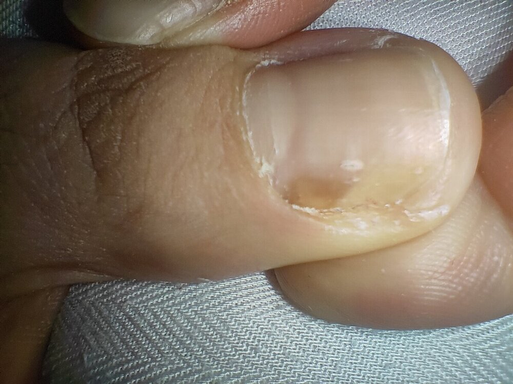 IMG20241208210832.jpg