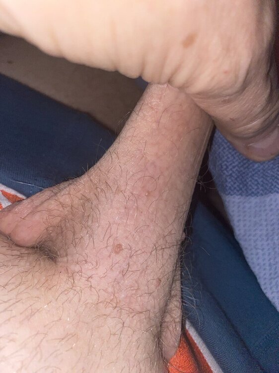 IMG_3334.jpeg