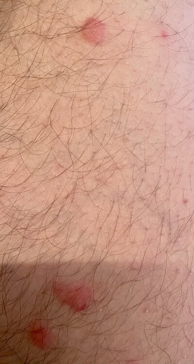 IMG_4570.thumb.jpeg.79849d80b6f1f23d781b0e9207bb7b78.jpeg