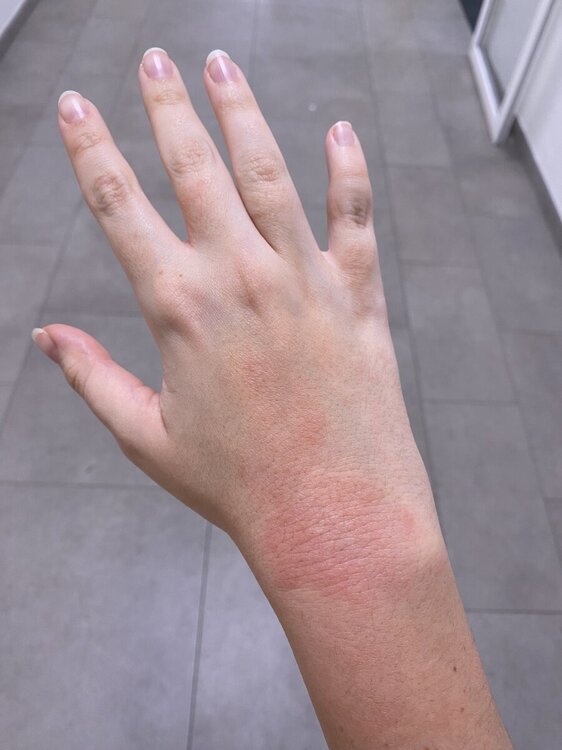 IMG_6558.jpeg