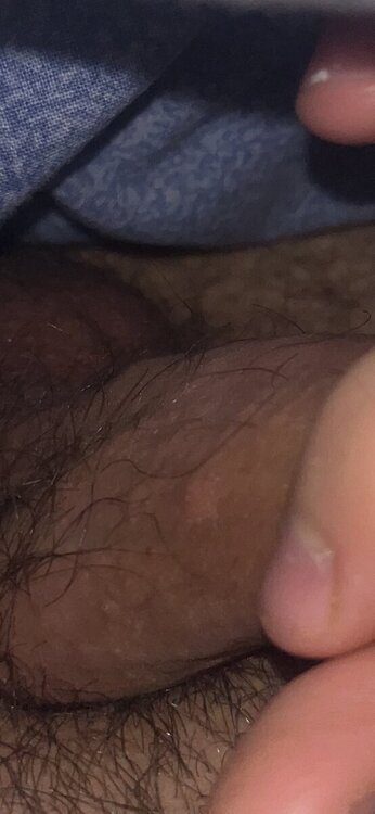 IMG_8075.jpeg