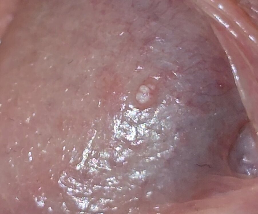 VideoCapture_20241210-194217.jpg