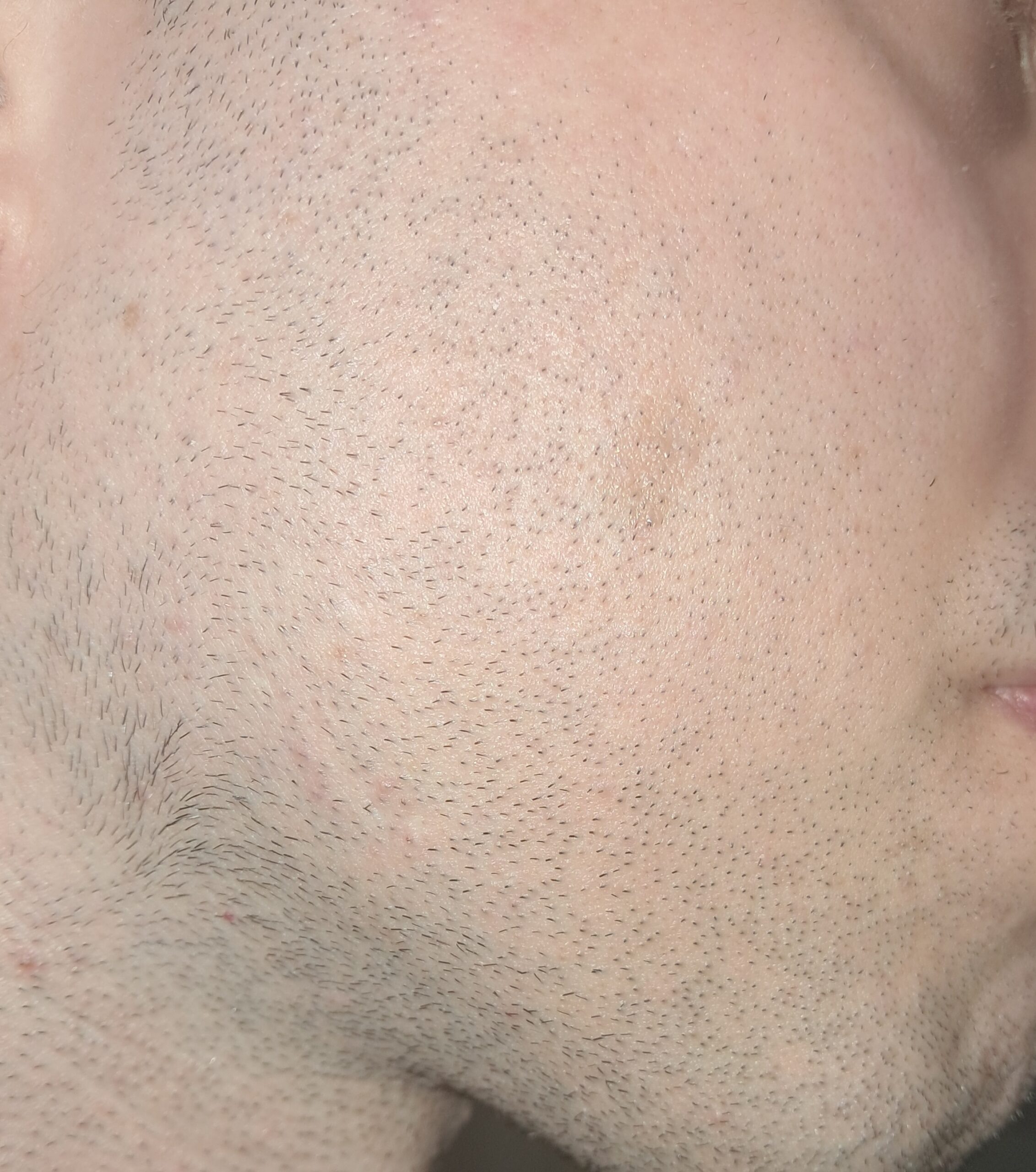 Allegato