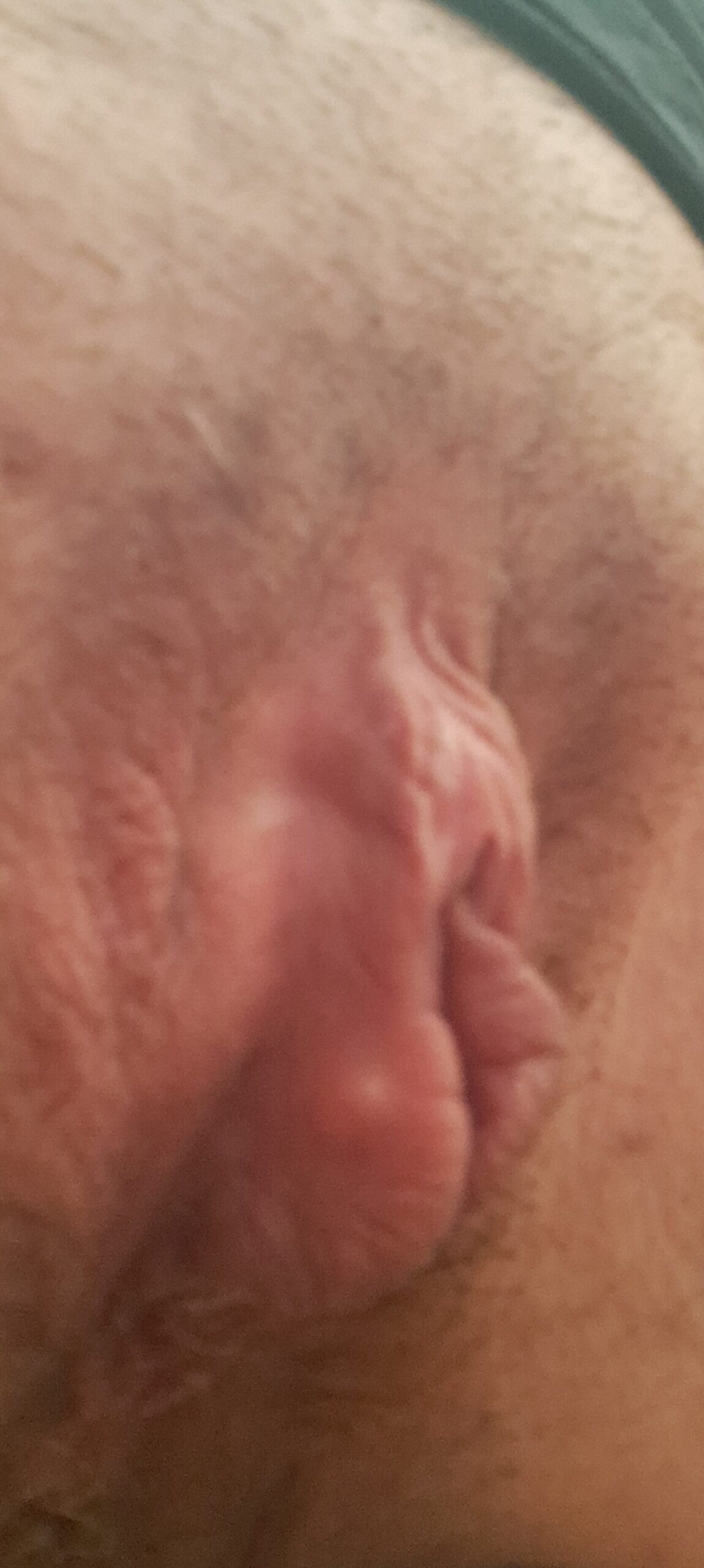 Allegato