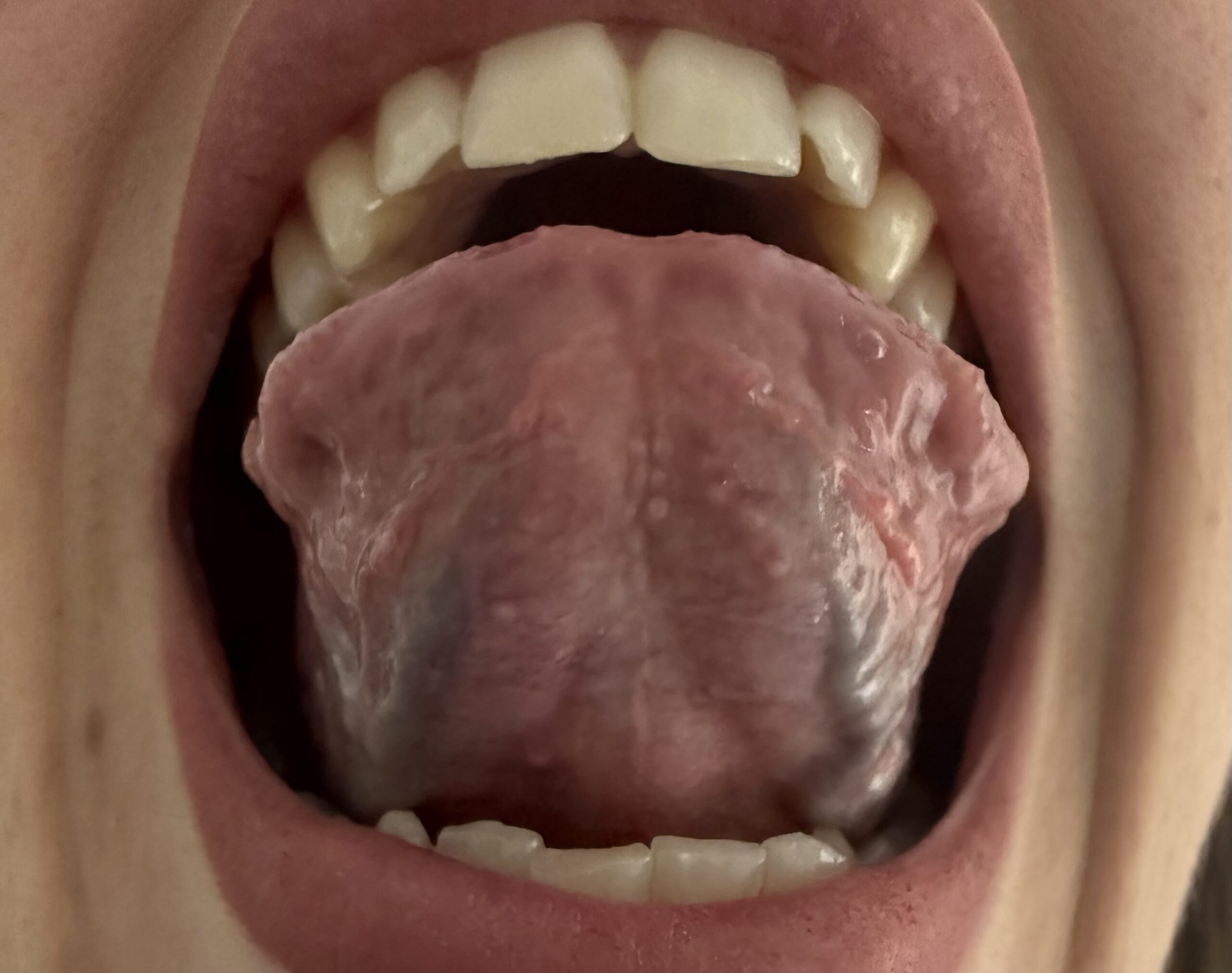 Allegato