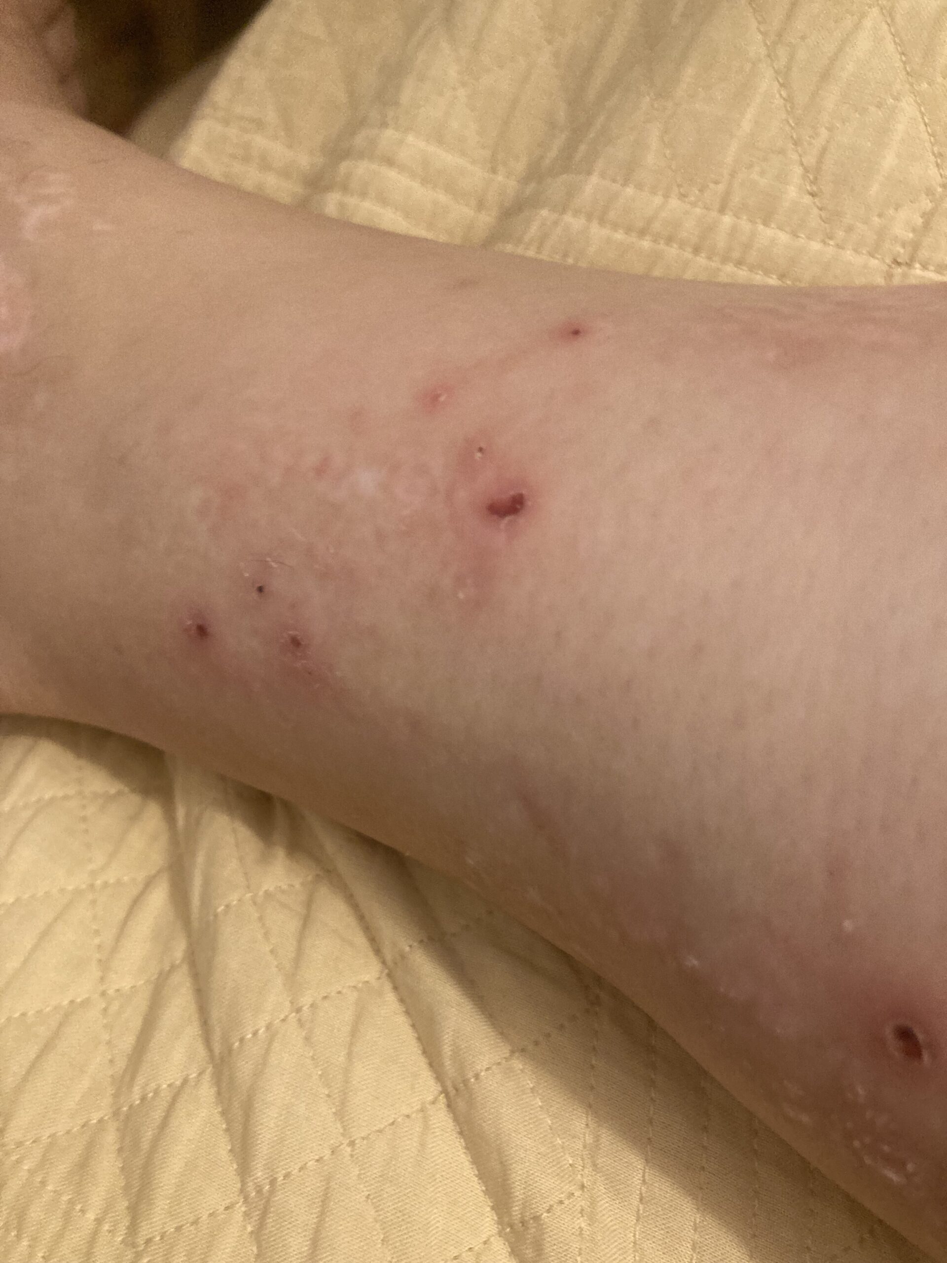Allegato immagine