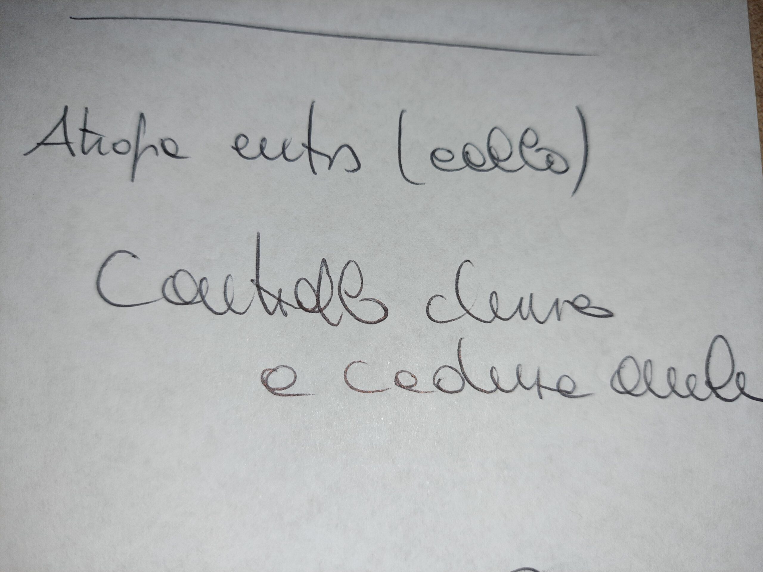 Allegato immagine