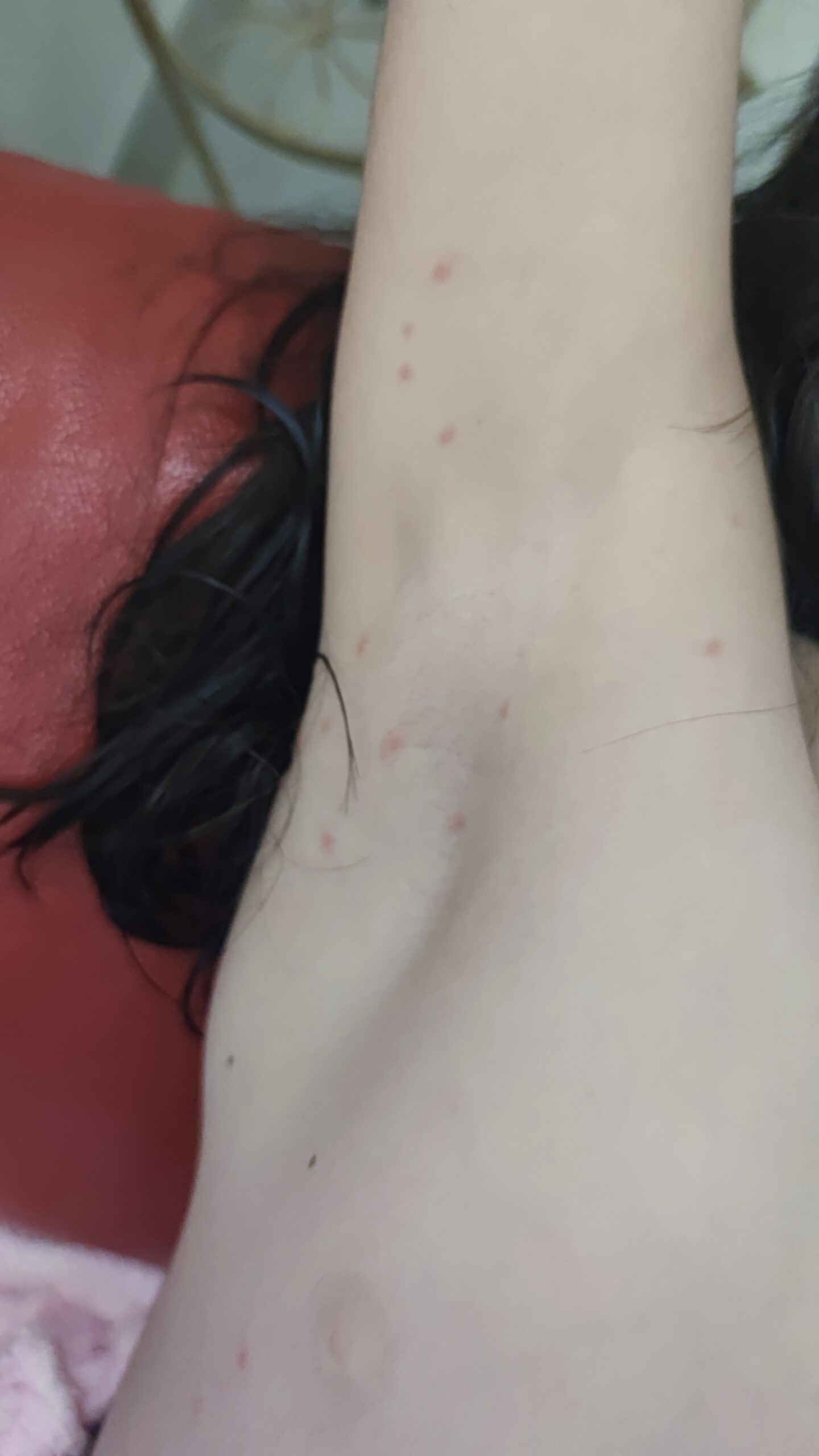 Allegato immagine
