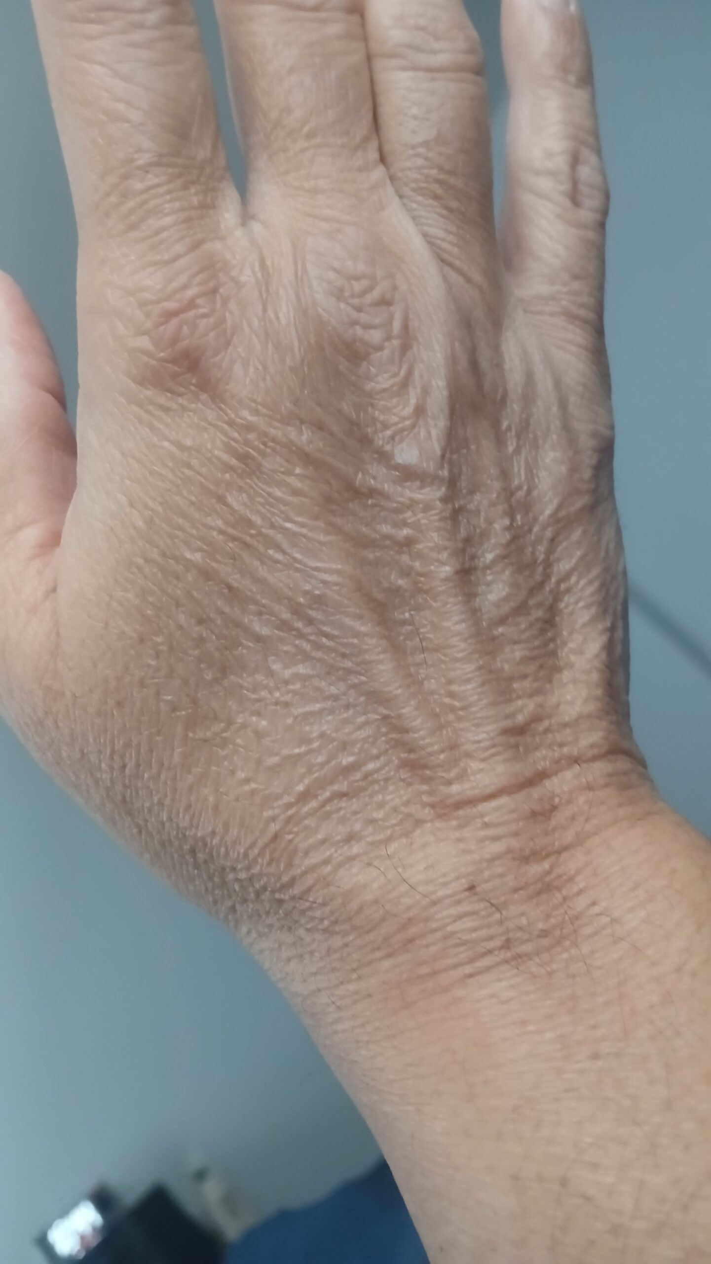 Allegato immagine