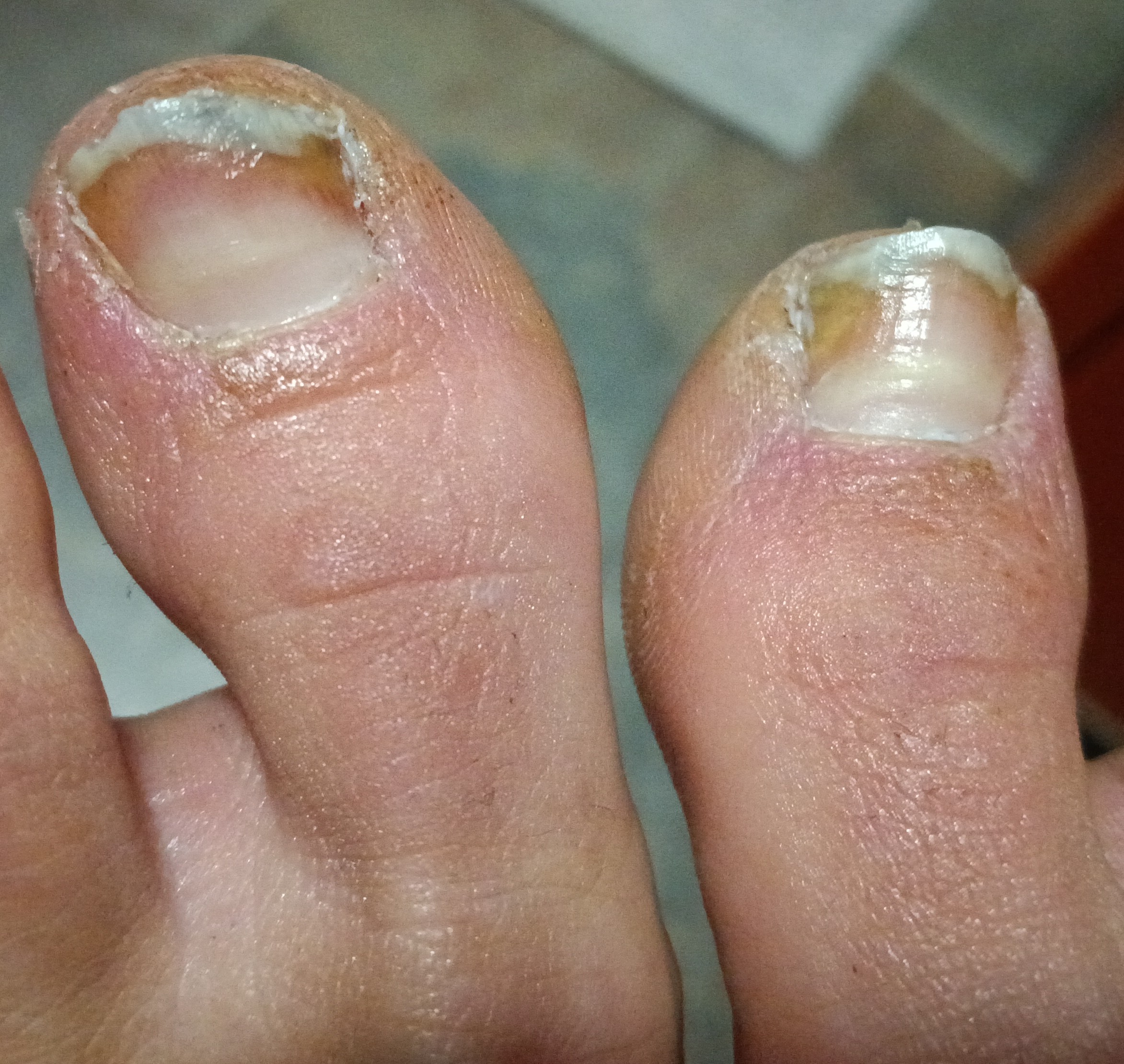 Allegato immagine