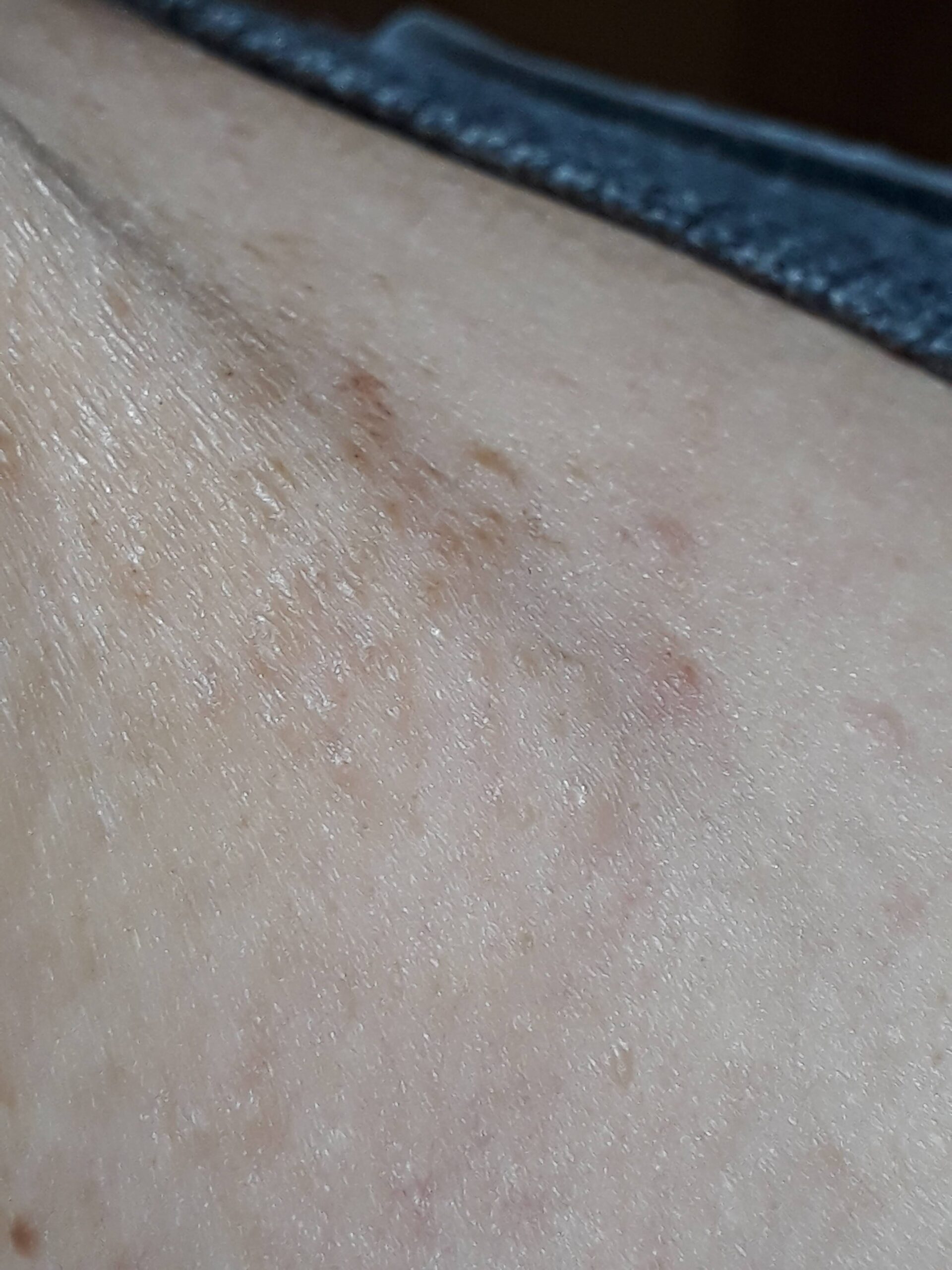 Allegato immagine