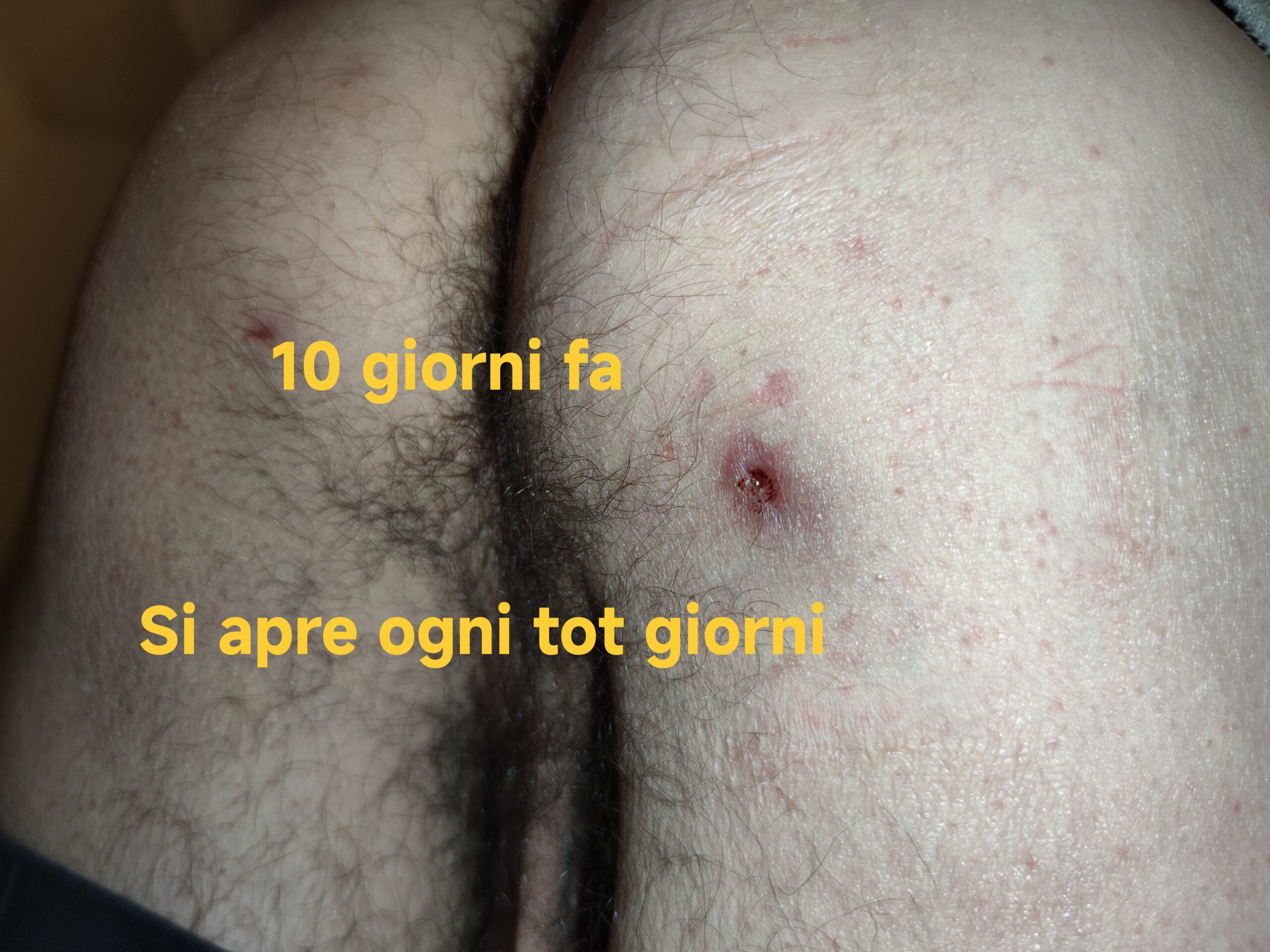 Allegato immagine