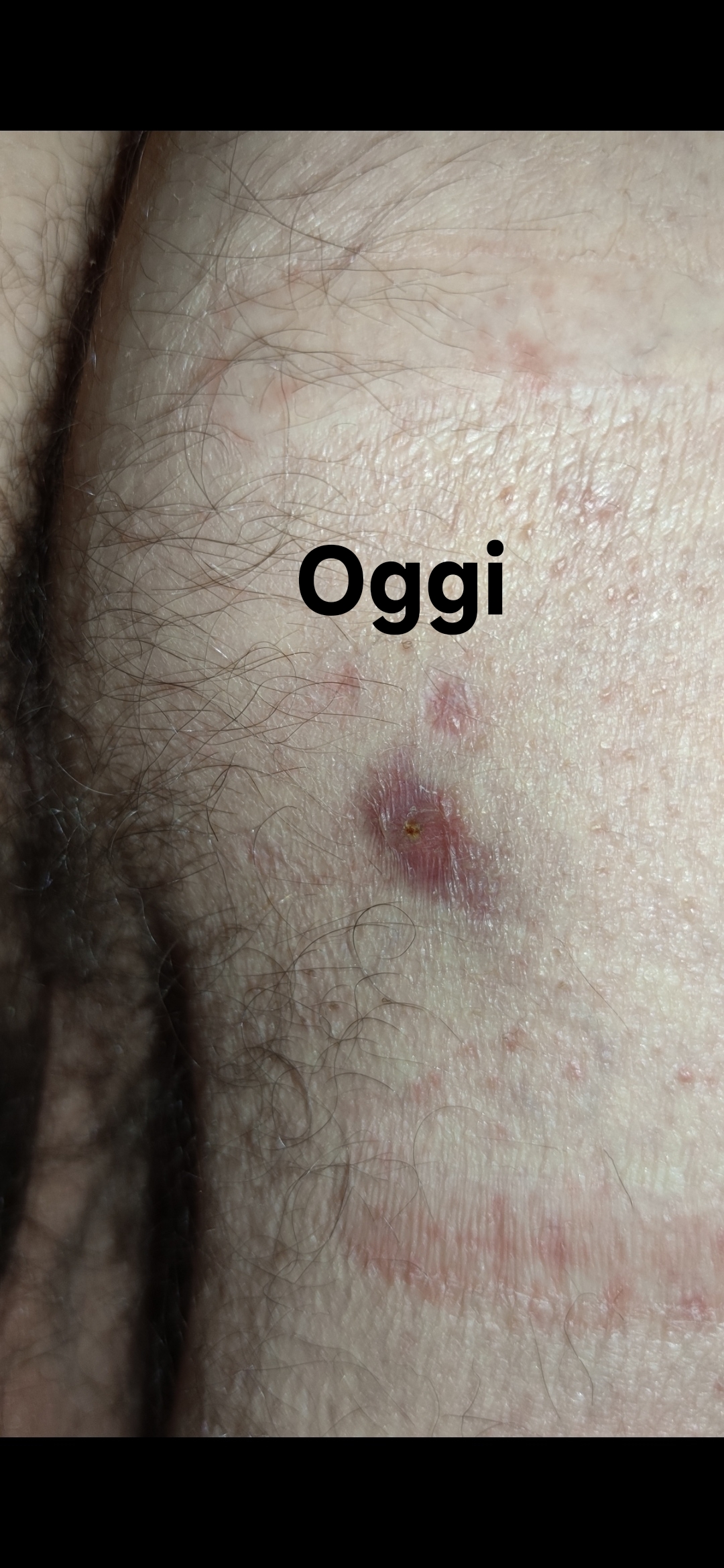 Allegato immagine