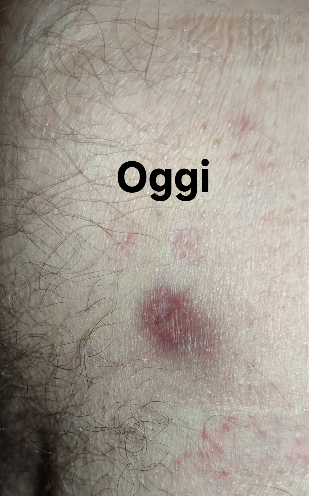 Allegato immagine