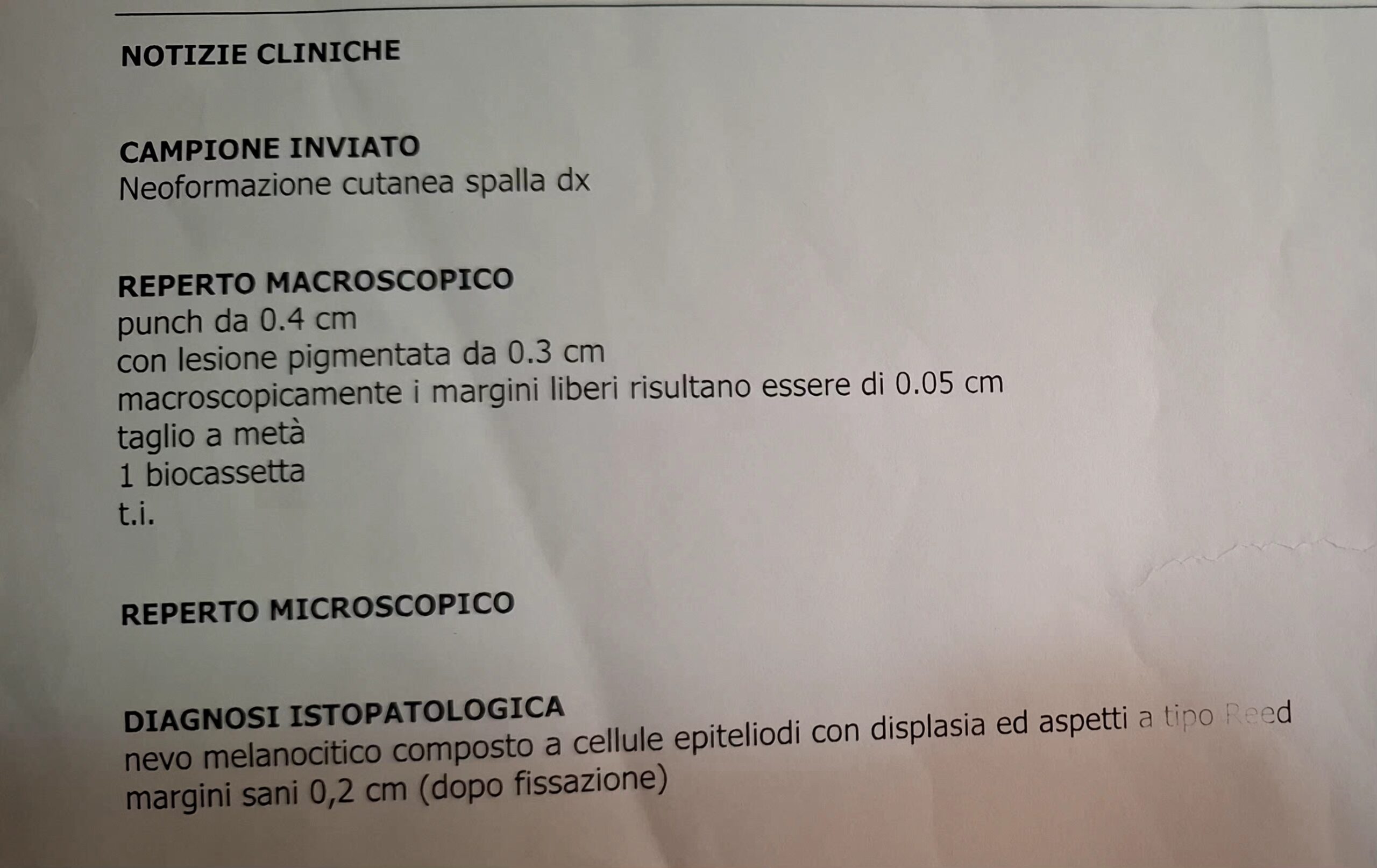 Allegato immagine